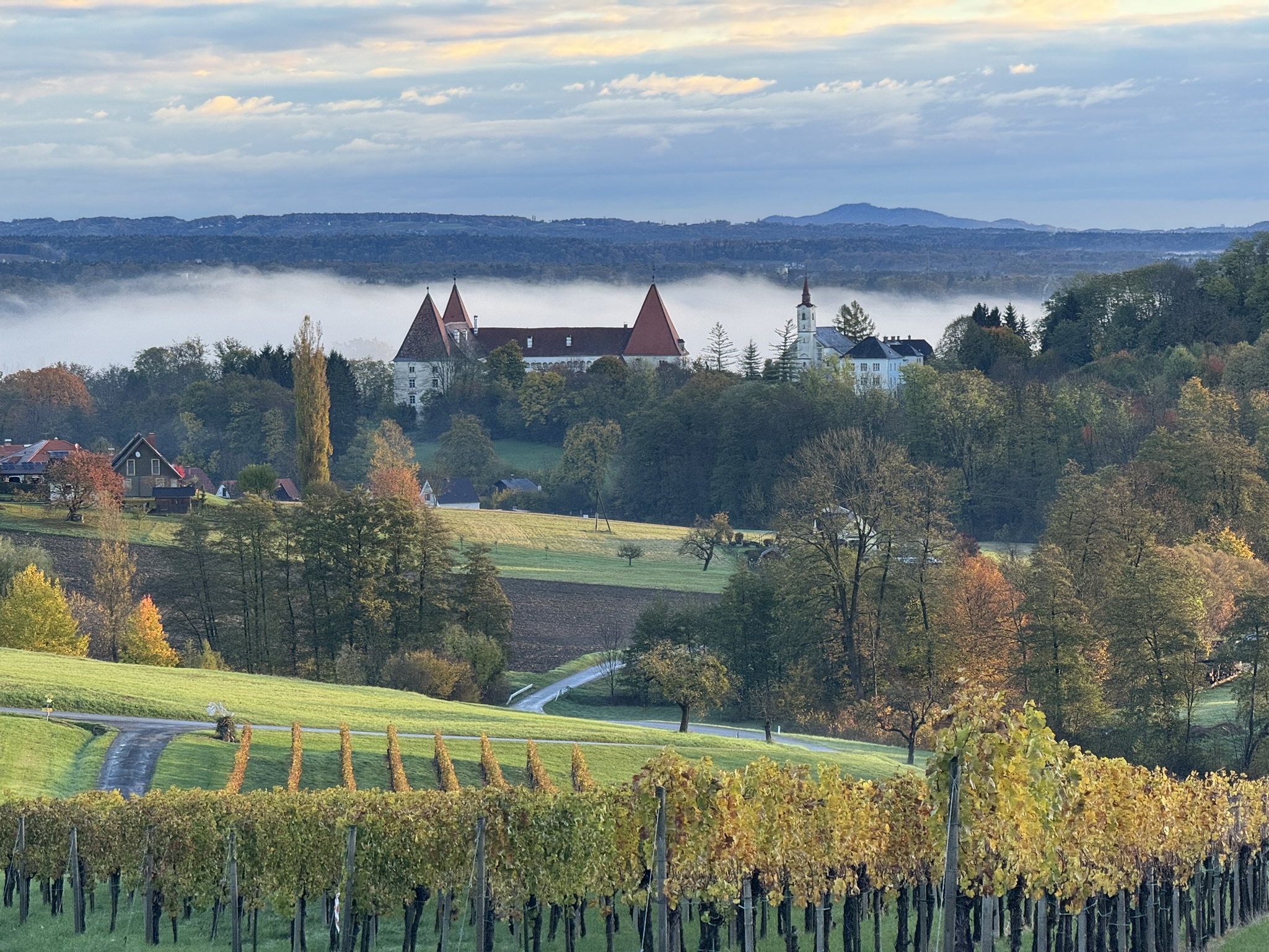 Ausblick auf Schloss Spielfeld