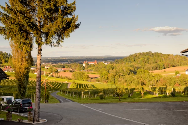 Ausblick auf Schloss Spielfeld